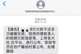 新野新野的要账公司在催收过程中的策略和技巧有哪些？