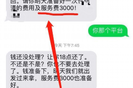 新野遇到恶意拖欠？专业追讨公司帮您解决烦恼